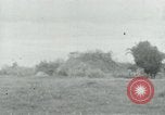 Immagine di Il Viet Cong impostazione di mitragliatrice e immettendo le gallerie nella giungla Il Vietnam, 1965, secondo 50 filmato di repertorio 65675032691