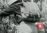 Immagine di Il Viet Cong spostando le forniture nelle giungle sulle biciclette Il Vietnam, 1967, secondo 23 filmato di repertorio 65675032692