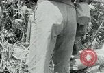 Immagine di Il Viet Cong spostando le forniture nelle giungle sulle biciclette Il Vietnam, 1967, secondo 24 filmato di repertorio 65675032692