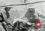 Immagine di Il Viet Cong spostando le forniture nelle giungle sulle biciclette Il Vietnam, 1967, secondo 26 filmato di repertorio 65675032692
