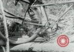 Immagine di Il Viet Cong spostando le forniture nelle giungle sulle biciclette Il Vietnam, 1967, secondo 32 filmato di repertorio 65675032692