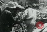 Immagine di Il Viet Cong spostando le forniture nelle giungle sulle biciclette Il Vietnam, 1967, secondo 48 filmato di repertorio 65675032692