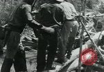 Immagine di Il Viet Cong spostando le forniture nelle giungle sulle biciclette Il Vietnam, 1967, secondo 57 filmato di repertorio 65675032692