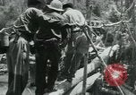 Immagine di Il Viet Cong spostando le forniture nelle giungle sulle biciclette Il Vietnam, 1967, secondo 58 filmato di repertorio 65675032692
