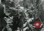 Immagine di Il Viet Cong spostando le forniture nelle giungle sulle biciclette Il Vietnam, 1967, secondo 60 filmato di repertorio 65675032692