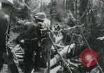 Immagine di Il Viet Cong spostando le forniture nelle giungle sulle biciclette Il Vietnam, 1967, secondo 61 filmato di repertorio 65675032692
