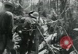 Immagine di Il Viet Cong spostando le forniture nelle giungle sulle biciclette Il Vietnam, 1967, secondo 62 filmato di repertorio 65675032692