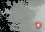 Immagine di Il Viet Cong incontro politico alla base nella giungla Il Vietnam, 1965, secondo 44 filmato di repertorio 65675032693