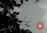 Immagine di Il Viet Cong incontro politico alla base nella giungla Il Vietnam, 1965, secondo 45 filmato di repertorio 65675032693