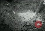 Immagine di Il Viet Cong nel camp per la scrittura di lettere bunker di scavo e pulizia weapo Il Vietnam, 1965, secondo 28 filmato di repertorio 65675032694