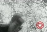 Immagine di Il Viet Cong nel camp per la scrittura di lettere bunker di scavo e pulizia weapo Il Vietnam, 1965, secondo 46 filmato di repertorio 65675032694