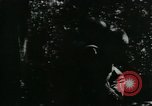 Immagine di Il Viet Cong cablaggio turni di artiglieria per trappole e dispositivo esplosivo Il Vietnam, 1965, secondo 46 filmato di repertorio 65675032695