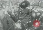 Immagine di Il Viet Cong cablaggio turni di artiglieria per trappole e dispositivo esplosivo Il Vietnam, 1965, secondo 55 filmato di repertorio 65675032695