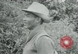 Immagine di Vietcong punti 45 calibro pistola automatica Il Vietnam, 1965, secondo 3 filmato di repertorio 65675032696