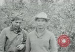 Immagine di Vietcong punti 45 calibro pistola automatica Il Vietnam, 1965, secondo 25 filmato di repertorio 65675032696