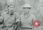Immagine di Vietcong punti 45 calibro pistola automatica Il Vietnam, 1965, secondo 28 filmato di repertorio 65675032696