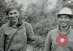 Immagine di Vietcong punti 45 calibro pistola automatica Il Vietnam, 1965, secondo 34 filmato di repertorio 65675032696