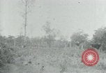 Immagine di Vietcong punti 45 calibro pistola automatica Il Vietnam, 1965, secondo 35 filmato di repertorio 65675032696