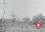 Immagine di Vietcong punti 45 calibro pistola automatica Il Vietnam, 1965, secondo 38 filmato di repertorio 65675032696
