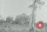 Immagine di Vietcong punti 45 calibro pistola automatica Il Vietnam, 1965, secondo 39 filmato di repertorio 65675032696