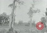 Immagine di Vietcong punti 45 calibro pistola automatica Il Vietnam, 1965, secondo 40 filmato di repertorio 65675032696