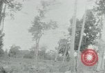 Immagine di Vietcong punti 45 calibro pistola automatica Il Vietnam, 1965, secondo 41 filmato di repertorio 65675032696