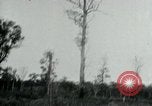 Immagine di Vietcong punti 45 calibro pistola automatica Il Vietnam, 1965, secondo 42 filmato di repertorio 65675032696