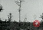 Immagine di Vietcong punti 45 calibro pistola automatica Il Vietnam, 1965, secondo 43 filmato di repertorio 65675032696