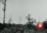 Immagine di Vietcong punti 45 calibro pistola automatica Il Vietnam, 1965, secondo 44 filmato di repertorio 65675032696