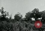 Immagine di Vietcong punti 45 calibro pistola automatica Il Vietnam, 1965, secondo 45 filmato di repertorio 65675032696