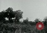 Immagine di Vietcong punti 45 calibro pistola automatica Il Vietnam, 1965, secondo 46 filmato di repertorio 65675032696