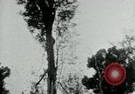 Immagine di Vietcong punti 45 calibro pistola automatica Il Vietnam, 1965, secondo 55 filmato di repertorio 65675032696
