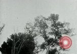 Immagine di Vietcong punti 45 calibro pistola automatica Il Vietnam, 1965, secondo 59 filmato di repertorio 65675032696