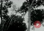 Immagine di Vietcong punti 45 calibro pistola automatica Il Vietnam, 1965, secondo 61 filmato di repertorio 65675032696