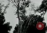 Immagine di Vietcong punti 45 calibro pistola automatica Il Vietnam, 1965, secondo 62 filmato di repertorio 65675032696