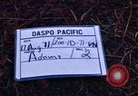 Immagine di 1° aria divisione di cavalleria sostituzioni guardando demonstratio in elicottero Il Vietnam, 1971, secondo 6 filmato di repertorio 65675032698