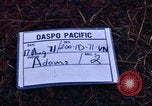 Immagine di 1° aria divisione di cavalleria sostituzioni guardando demonstratio in elicottero Il Vietnam, 1971, secondo 7 filmato di repertorio 65675032698