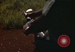 Immagine di 1° aria divisione di cavalleria Il Vietnam, 1971, secondo 24 filmato di repertorio 65675032701