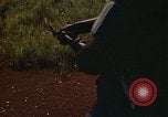 Immagine di 1° aria divisione di cavalleria Il Vietnam, 1971, secondo 25 filmato di repertorio 65675032701