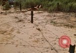 Immagine di Cheiu Hoi Il Vietnam, 1971, secondo 3 filmato di repertorio 65675032704