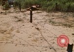 Immagine di Cheiu Hoi Il Vietnam, 1971, secondo 6 filmato di repertorio 65675032704