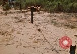 Immagine di Cheiu Hoi Il Vietnam, 1971, secondo 9 filmato di repertorio 65675032704