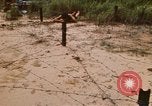 Immagine di Cheiu Hoi Il Vietnam, 1971, secondo 10 filmato di repertorio 65675032704