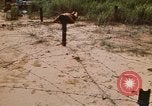 Immagine di Cheiu Hoi Il Vietnam, 1971, secondo 14 filmato di repertorio 65675032704
