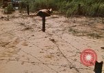 Immagine di Cheiu Hoi Il Vietnam, 1971, secondo 15 filmato di repertorio 65675032704