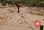 Immagine di Cheiu Hoi Il Vietnam, 1971, secondo 18 filmato di repertorio 65675032704