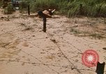 Immagine di Cheiu Hoi Il Vietnam, 1971, secondo 22 filmato di repertorio 65675032704