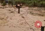 Immagine di Cheiu Hoi Il Vietnam, 1971, secondo 24 filmato di repertorio 65675032704