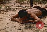 Immagine di Cheiu Hoi Il Vietnam, 1971, secondo 30 filmato di repertorio 65675032704