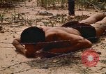 Immagine di Cheiu Hoi Il Vietnam, 1971, secondo 35 filmato di repertorio 65675032704